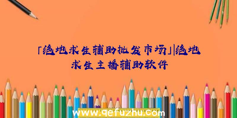 「绝地求生辅助批发市场」|绝地求生主播辅助软件